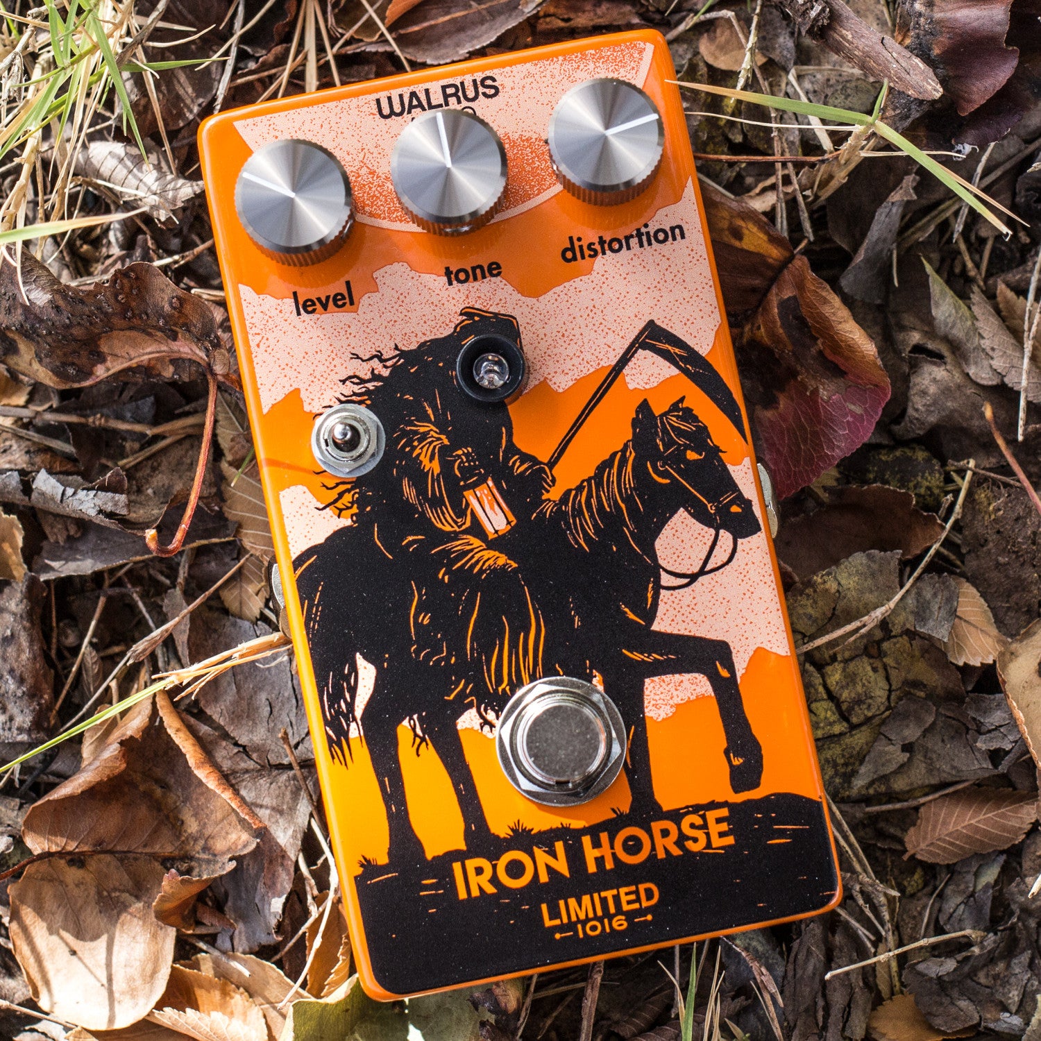 Limited Edition Iron Horse