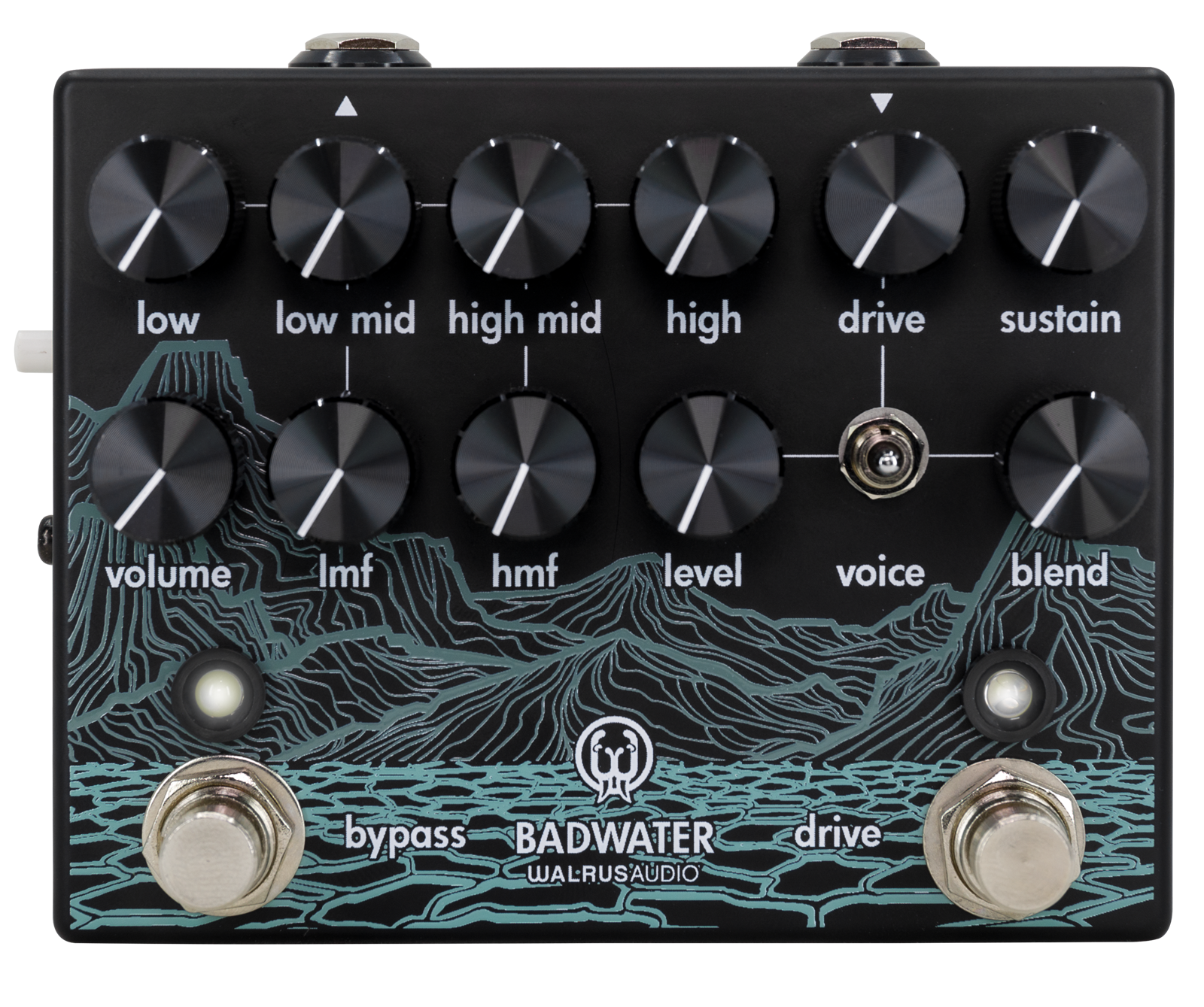 Gig Ready Bass Rig