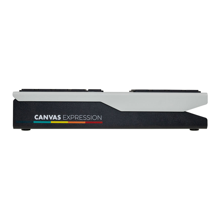Canvas Expression Pedal