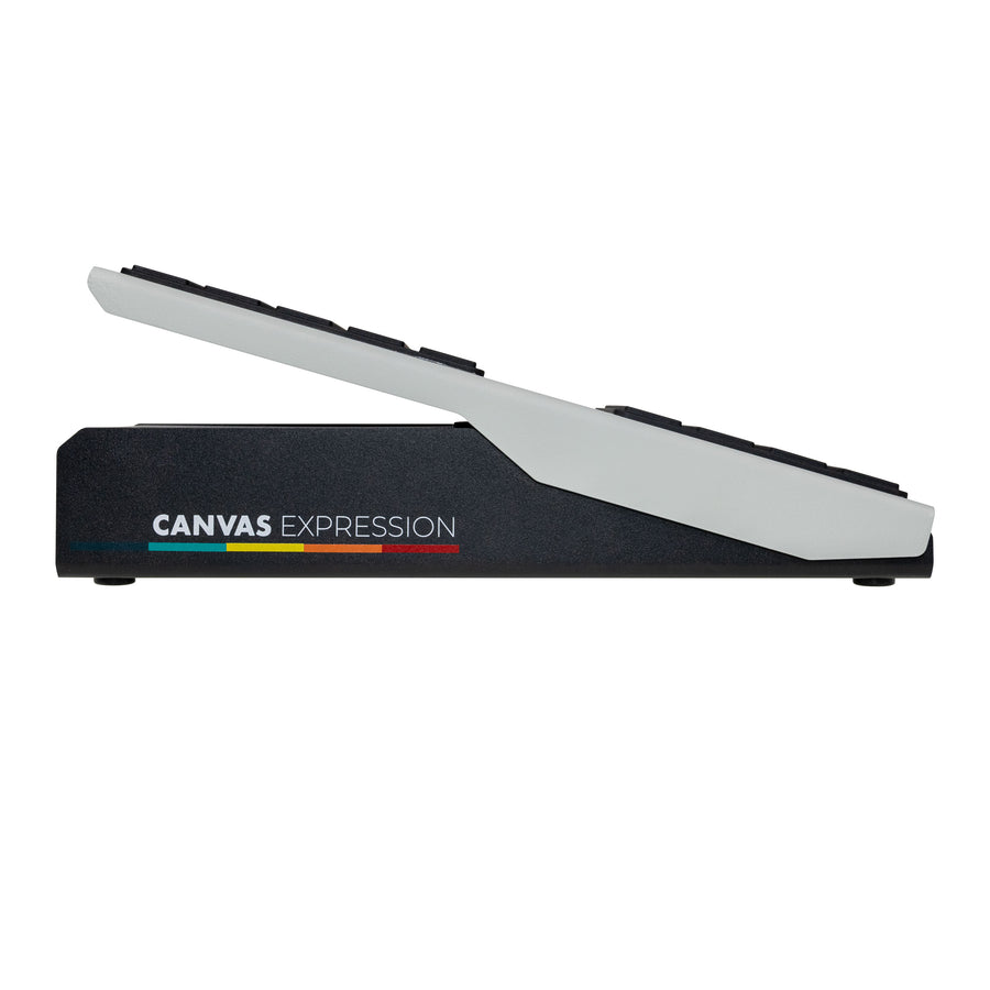 Canvas Expression Pedal
