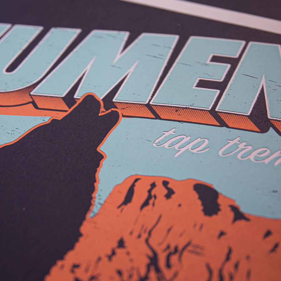 Screen Printed Posters