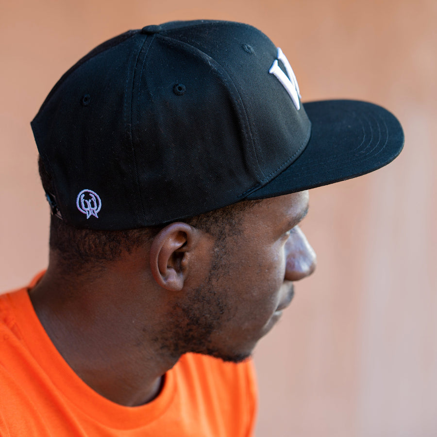 Walrus Audio Embroidered Snap Back Hat