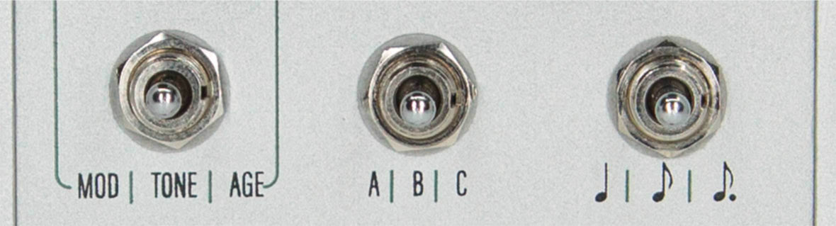 Close up view of controls on the D1 Stereo Delay pedal