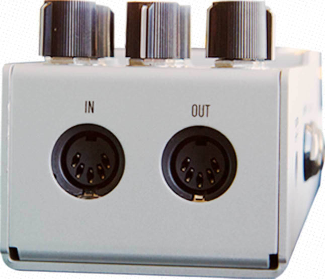 Rear panel view of the D1 Stereo Delay pedal, showing MIDI input and output